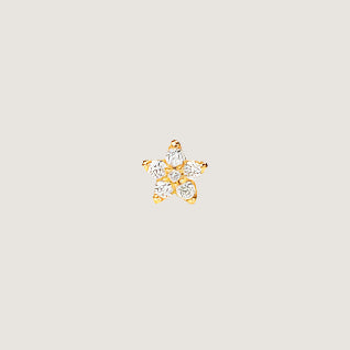 Ørestik Shooting Stars Mini