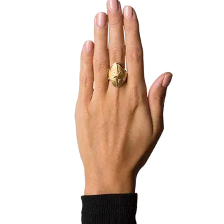 Shield Ring forgyldt